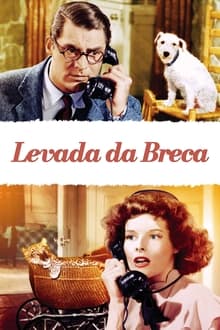 Poster do filme Levada da Breca