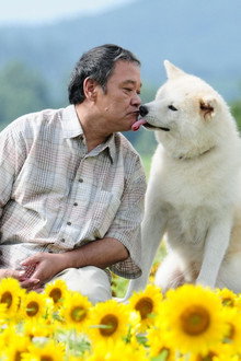 星守る犬