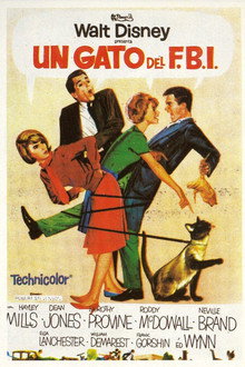 Un gato del FBI