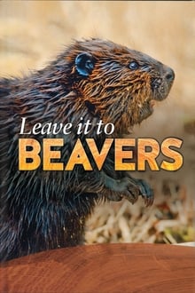 Poster do filme Leave it to Beavers