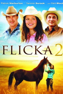 Flicka 2.