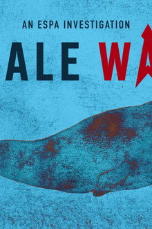 Whale Wash