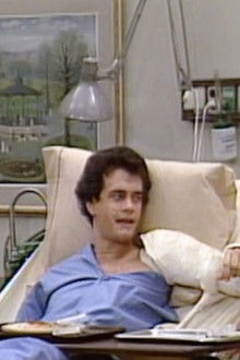 Bosom Buddies - Season 2