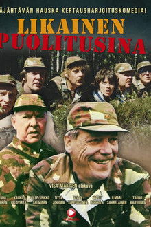 Likainen puolitusina