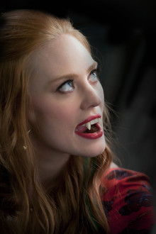 True Blood - Season 5