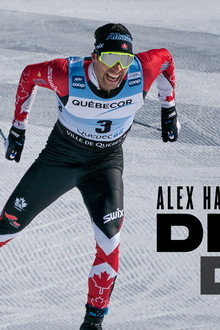 Alex Harvey : le dernier droit