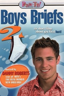 Poster do filme Boys Briefs 2