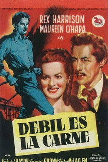 Débil es la carne