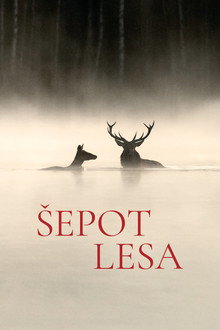 Šepot lesa