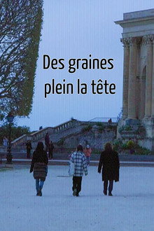 Des graines plein la tête