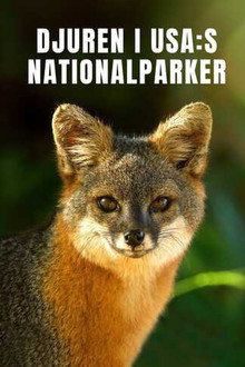 USA:s nationalparker