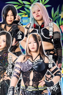 STARDOM in OSAKA-BAY 2026 Jul.