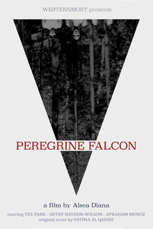 Peregrine Falcon