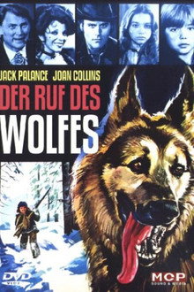 Die Spur des Wolfes
