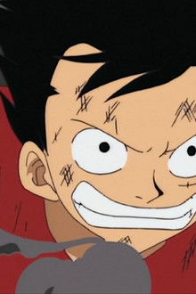 One Piece season 1 episode 29