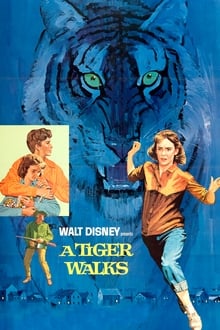 Poster do filme Um Tigre Caminha pela Noite