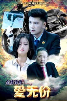 金牌律师之爱无价
