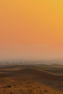 Arabian-Inferno