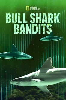 Poster do filme Tubarões Cabeça-Chata Bandidos