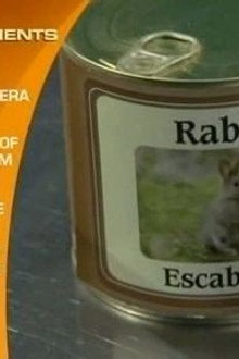 Chopped season 11 episode 8