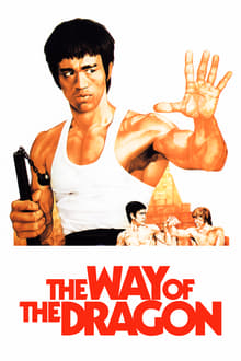 The Way of the Dragon movie poster