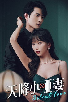 天降小哑妻