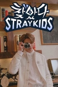 Poster da série Stray Kids: Finding SKZ