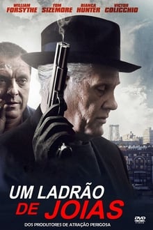 Poster do filme Um Ladrão de Jóias