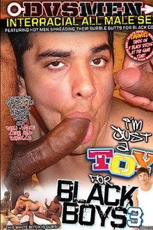 I'm Just a Toy for Black Boys 3