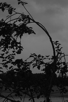 Dasein