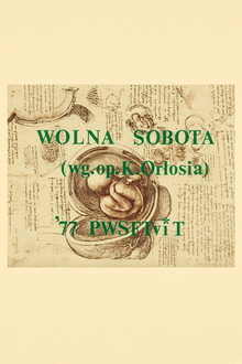 Wolna Sobota