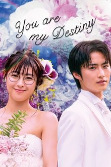 You Are My Destiny tv show poster