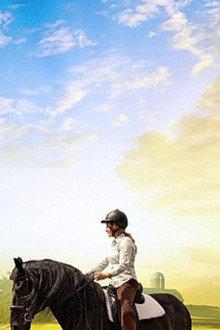 The Dark Horse