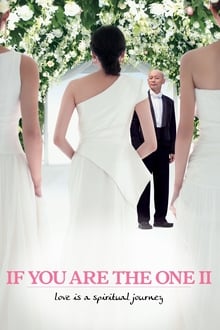 If You Are the One 2 movie poster