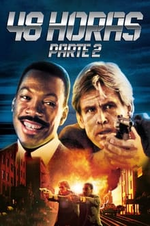 Poster do filme Another 48 Hrs.