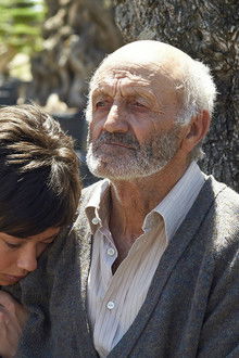 El-Olivo---Der-Olivenbaum