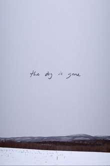 The Dog Is Gone