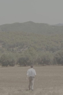 El Arroyo de la Miel