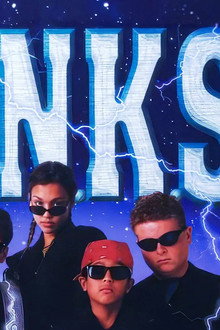 P.U.N.K.S