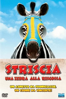 Striscia, una zebra alla riscossa