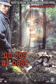 Poster do filme A Body in the Woods