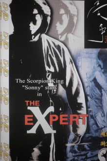 The Expert