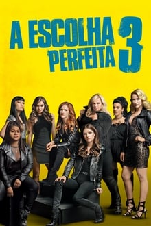 Poster do filme A Escolha Perfeita 3