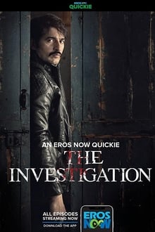 Poster da série The Investigation