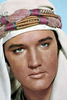 C'est la fête au harem