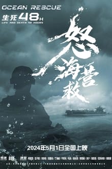 Poster do filme 怒海营救