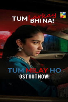 Tum Milay Ho