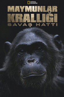 Maymunlar Krallığı: Savaş Hattı