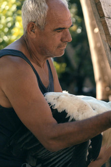 Приказната-за-Силјан