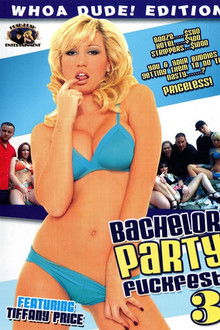 Bachelor Party Fuckfest! 3